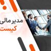 مدیر مالی کیست؟