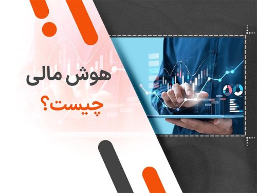 هوش مالی چیست؟